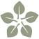 MorningStar Senior Management LLC